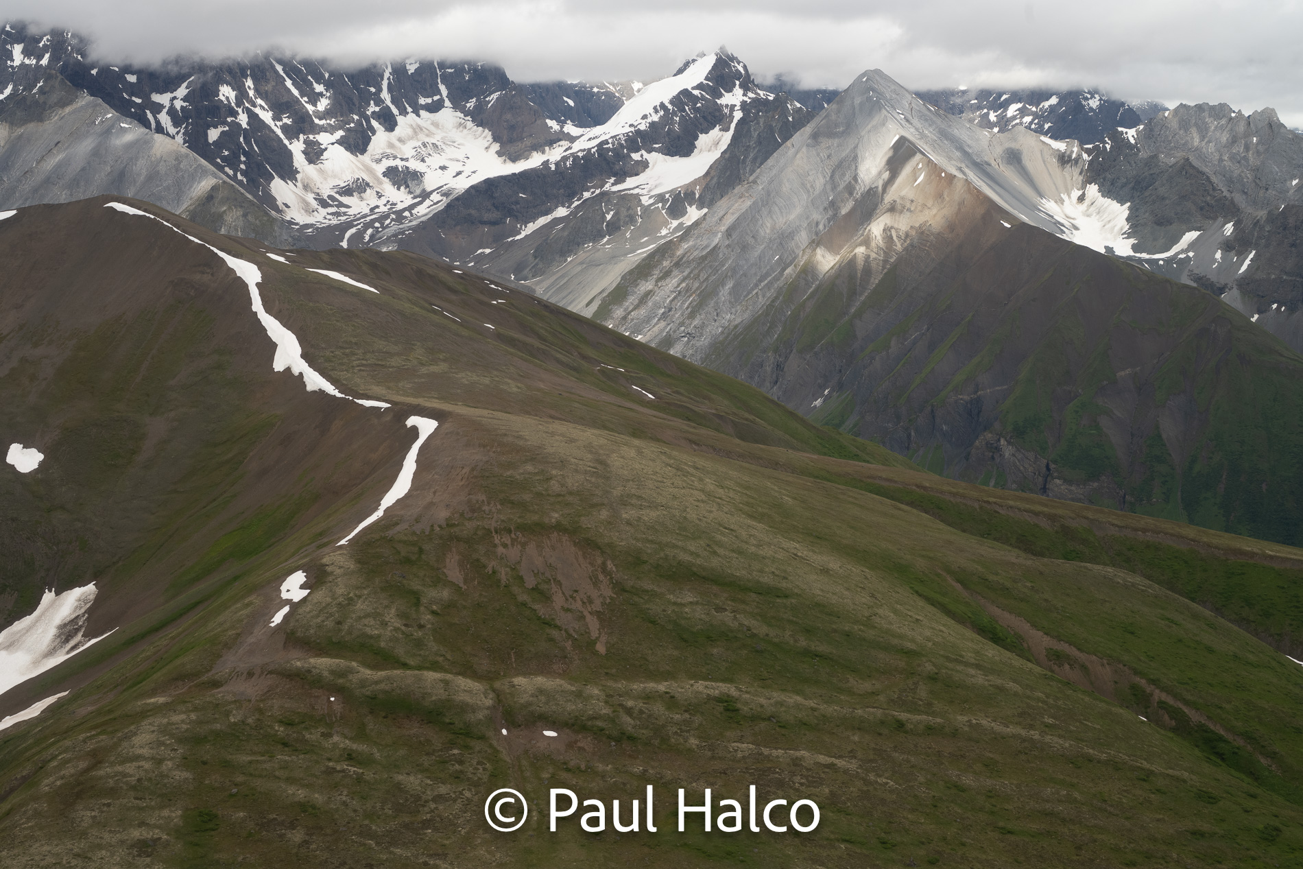 Paul Halco - General Alaska-59